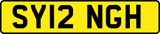 SY12NGH