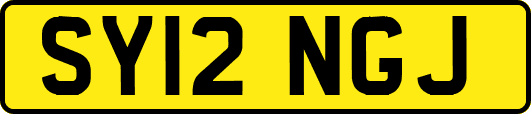 SY12NGJ