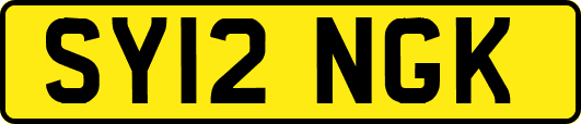 SY12NGK