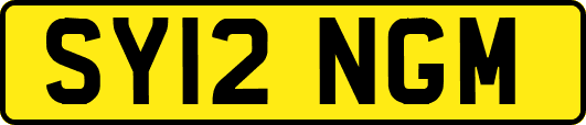 SY12NGM