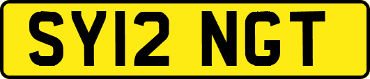 SY12NGT
