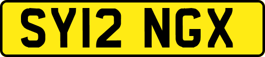 SY12NGX