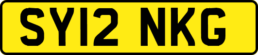 SY12NKG