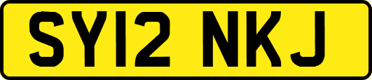 SY12NKJ