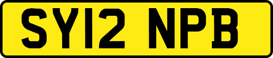 SY12NPB