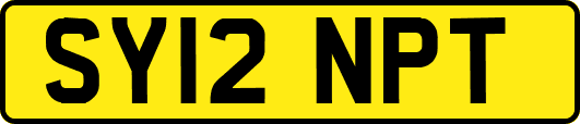 SY12NPT