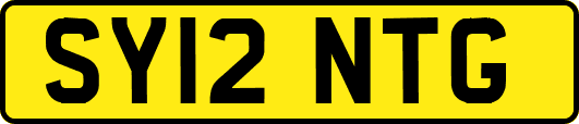 SY12NTG