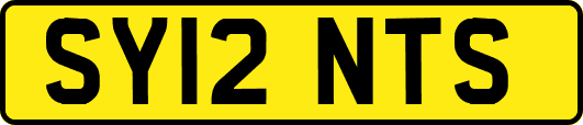 SY12NTS