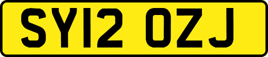 SY12OZJ