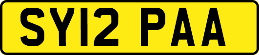 SY12PAA