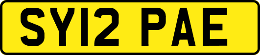 SY12PAE