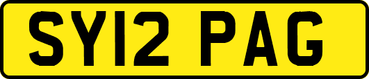SY12PAG