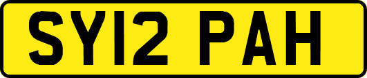 SY12PAH