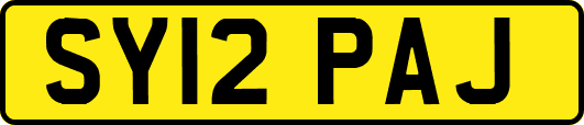 SY12PAJ