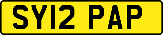 SY12PAP