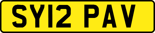 SY12PAV