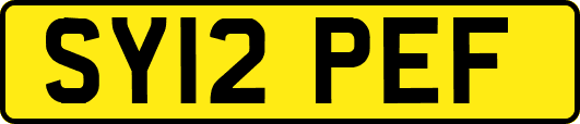SY12PEF