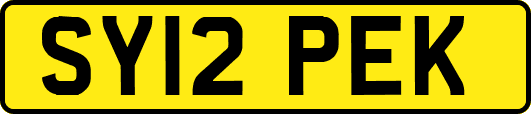 SY12PEK