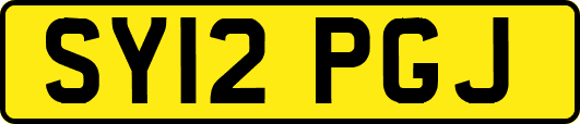 SY12PGJ