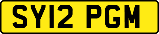 SY12PGM