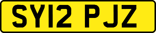 SY12PJZ