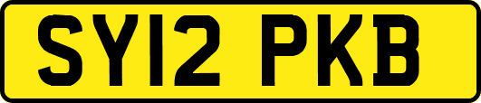 SY12PKB