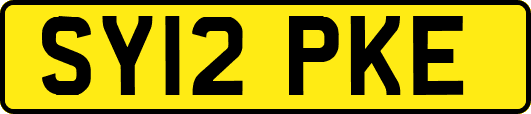 SY12PKE