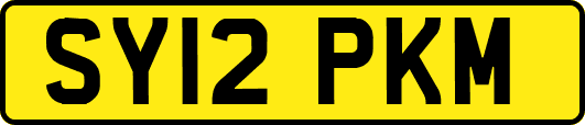SY12PKM