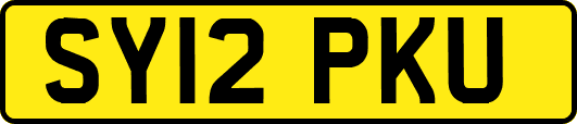 SY12PKU