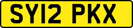 SY12PKX