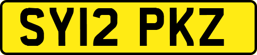 SY12PKZ