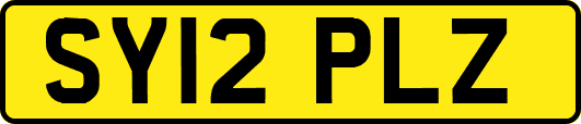 SY12PLZ