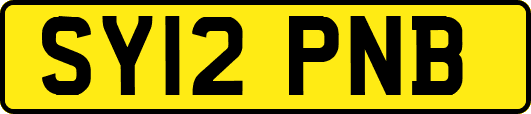 SY12PNB