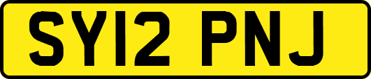 SY12PNJ