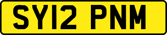 SY12PNM