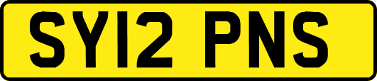 SY12PNS