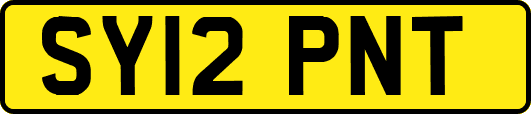 SY12PNT