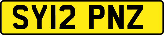 SY12PNZ