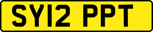 SY12PPT