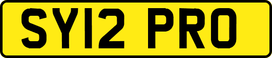 SY12PRO