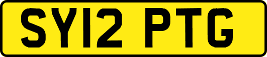 SY12PTG