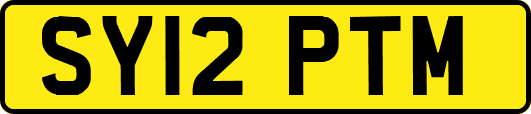 SY12PTM