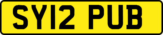 SY12PUB