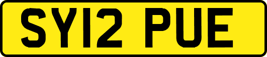 SY12PUE