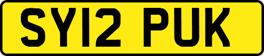 SY12PUK