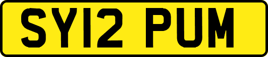 SY12PUM