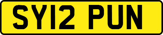SY12PUN