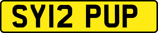 SY12PUP