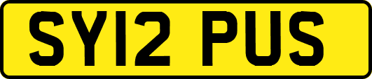 SY12PUS