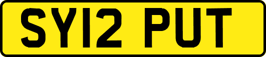 SY12PUT